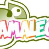 Cubreasientos Camaleón